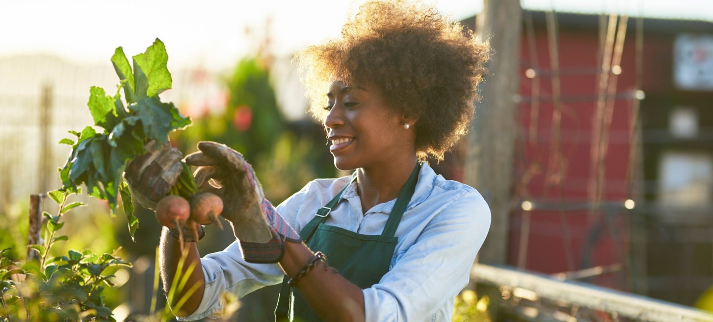 WOMEN STANDING IN A GARDEN OR ALLOTMENT WEARING A GREEN APRON AND BROWN GLOVES, HOLDING ROOT VEGETABLES THAT HAVE RECENTLY BEEN PULLED FROM THE GROUND