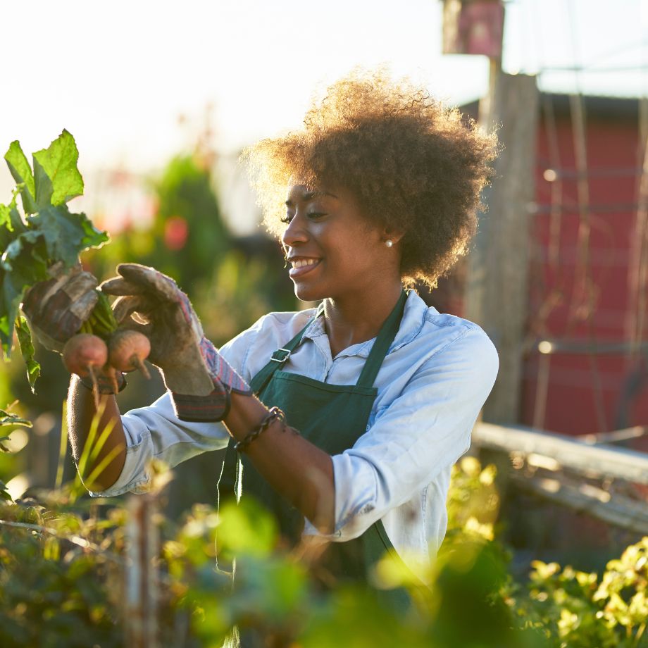WOMEN STANDING IN A GARDEN OR ALLOTMENT WEARING A GREEN APRON AND BROWN GLOVES, HOLDING ROOT VEGETABLES THAT HAVE RECENTLY BEEN PULLED FROM THE GROUND